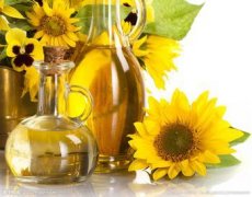 葵花籽油走俏市場，食用油灌裝機擔(dān)任新使者