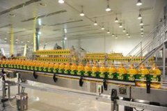 食用油灌裝機吸取玉米油之精髓